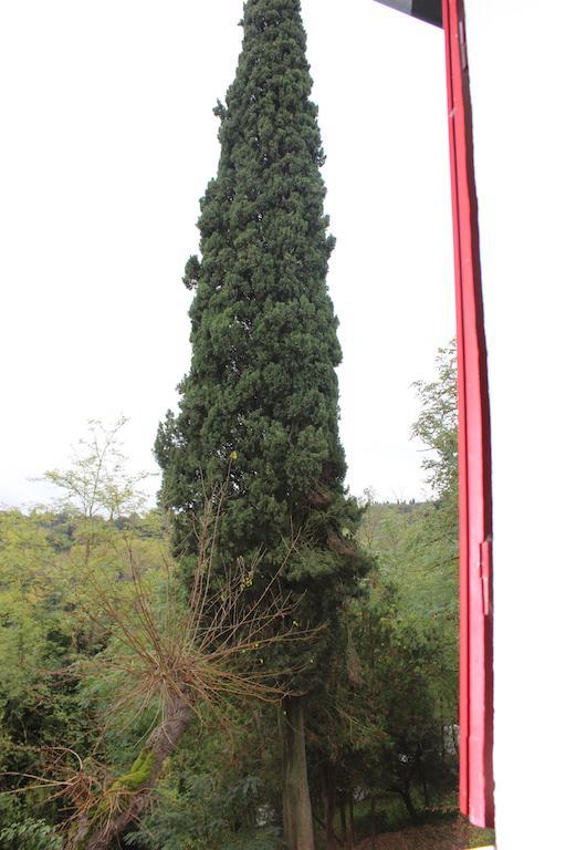 Il Vecchio Cipresso Daire San Gimignano Dış mekan fotoğraf